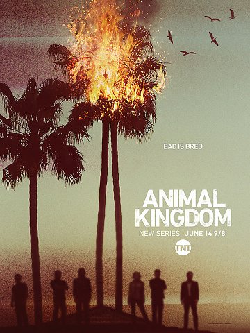Animal Kingdom S01E01 VOSTFR HDTV