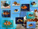 Aquarium Desktop Fish (Full 3Packs)