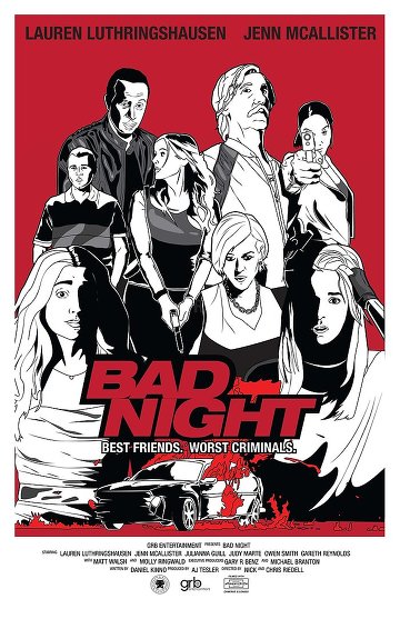 Bad Night TRUEFRENCH DVDSCR 2015