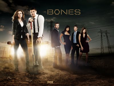 Bones S09E21 VOSTFR HDTV