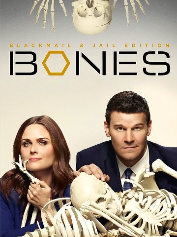 Bones S11E13 FRENCH HDTV