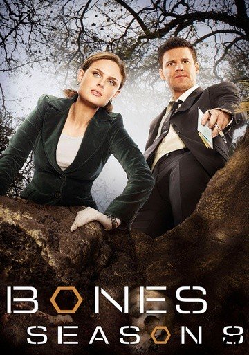 Bones Saison 8 FRENCH HDTV