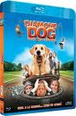 Diamond Dog : chien milliardaire FRENCH DVDRIP 2010