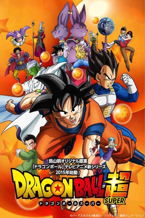 Dragon Ball Super Saison 1 MULTI HDTV