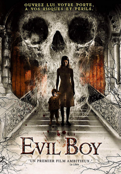 Evil Boy FRENCH WEBRIP 720p 2020