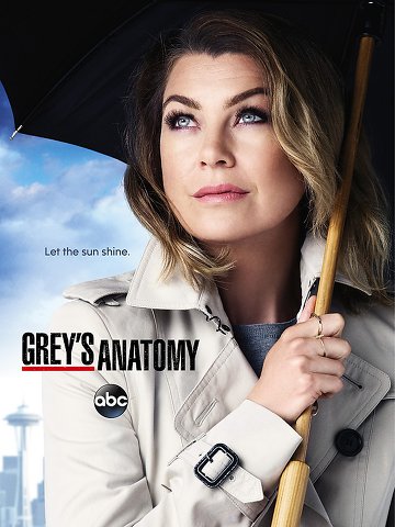 Grey's Anatomy S12E01 FRENCH HDTV