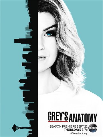 Grey's Anatomy S13E01 VOSTFR HDTV