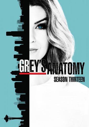 Grey's Anatomy S13E07 FRENCH HDTV