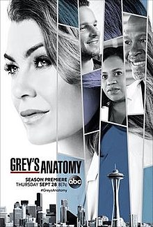 Grey's Anatomy S14E02 FRENCH HDTV