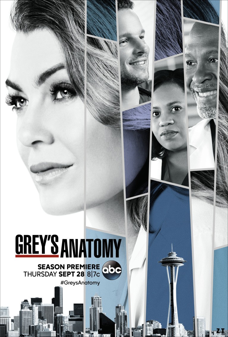 Grey's Anatomy S14E23 VOSTFR HDTV