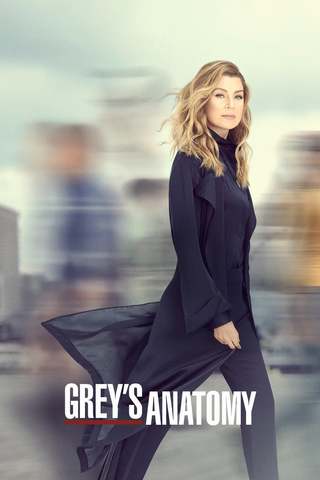 Grey's Anatomy S16E01 FRENCH HDTV