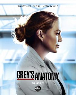 Grey's Anatomy S17E14 VOSTFR HDTV