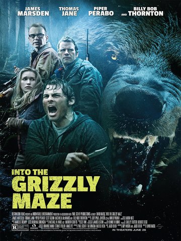 Grizzly FRENCH DVDRIP x264 2015