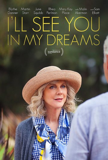 I'll See You In My Dreams FRENCH DVDRIP 2016