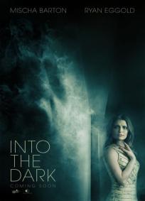Into the Dark FRENCH DVDRIP x264 2014
