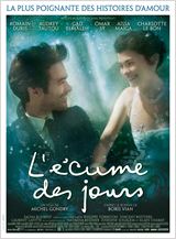 L'Ecume des jours FRENCH DVDRIP 2013