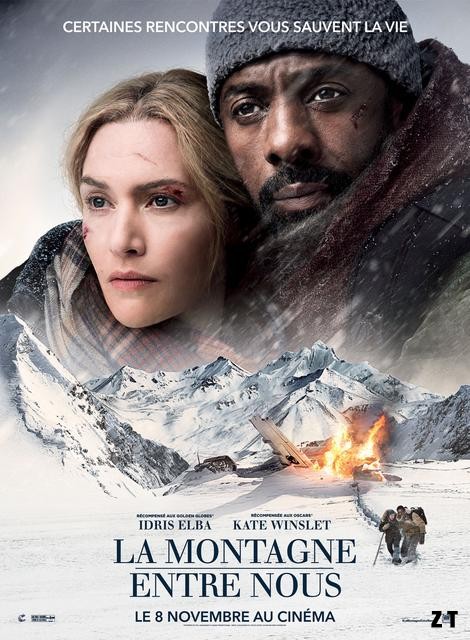La Montagne entre nous FRENCH BluRay 1080p 2017