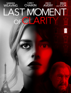Last Moment of Clarity FRENCH WEBRIP 1080p 2020