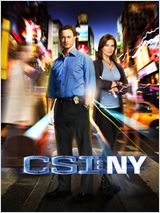 Les Experts : Manhattan S08E11 FRENCH HDTV