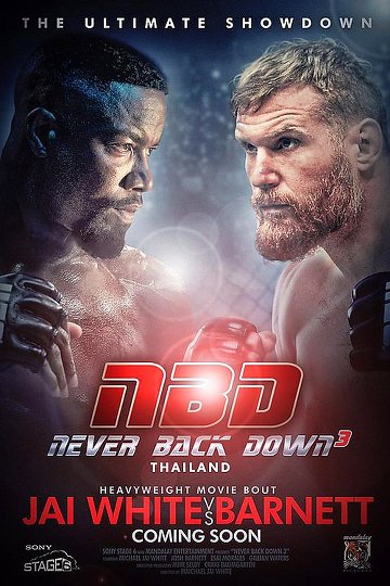 Never Back Down: No Surrender FRENCH DVDRIP 2016