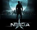 Ninja DVDRIP FRENCH 2009