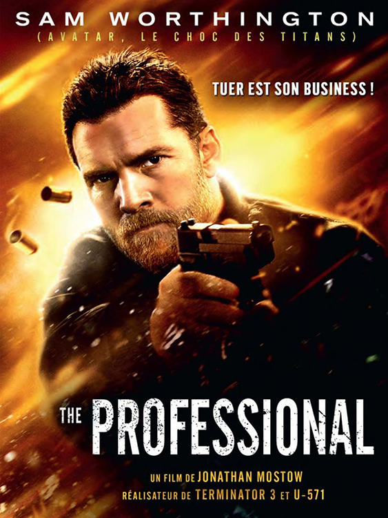 The Professional TRUEFRENCH DVDRIP 2017