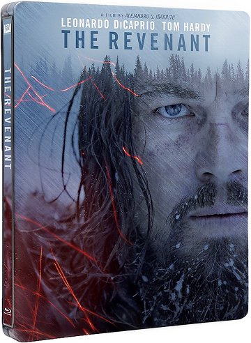 The Revenant FRENCH BluRay 1080p 2016