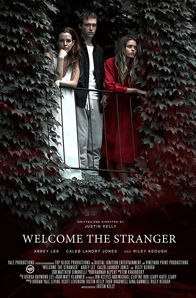 Welcome the Stranger FRENCH WEBRIP 1080p 2018